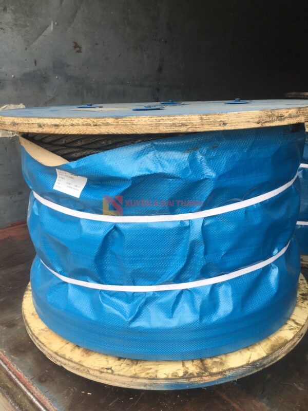 Cap-Thep-Chong-Xoan-4x39