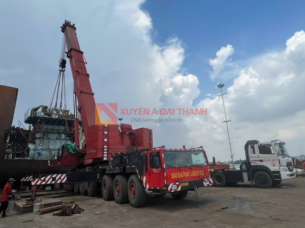 cap-thep-cau-truc-8xk31-21/6