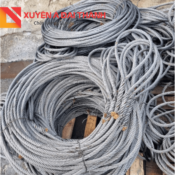 Bộ cẩu gù mắt mềm