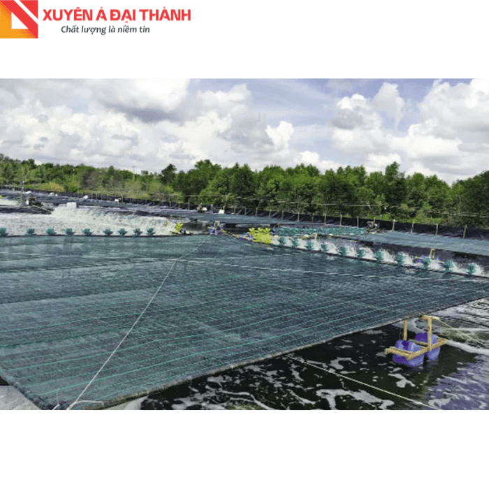 Cáp thép bọc nhựa căng lưới nuôi tôm