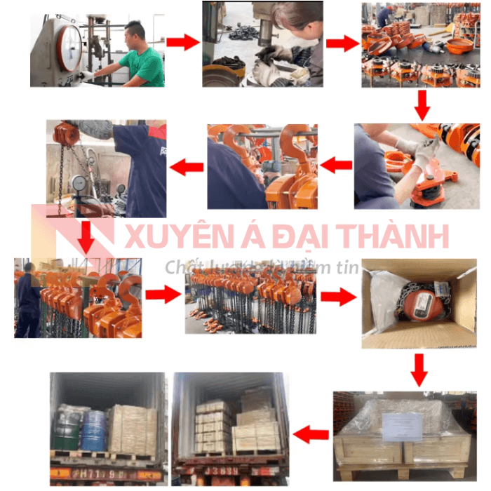 Quy trình sản xuất và xuát khẩu của công ty Xuyên Á Đại Thành