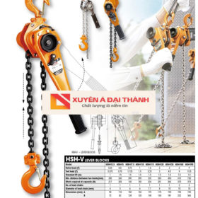 palang lắc tay xuyên á đại thành