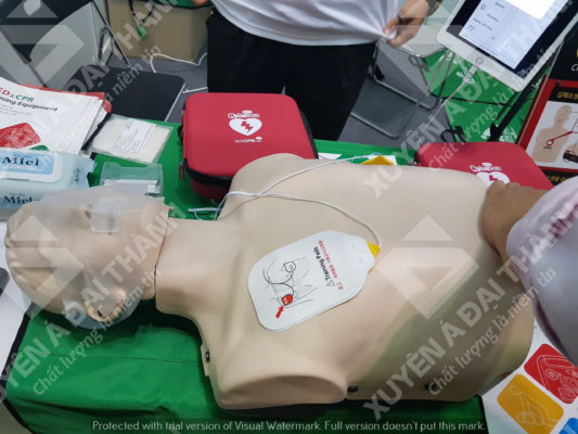 Mô Hình Hồi Sức Cấp Cứu Bán Thân Tiện Lợi Và Nhiều Tính Năng – Xuyên Á Đại Thành
