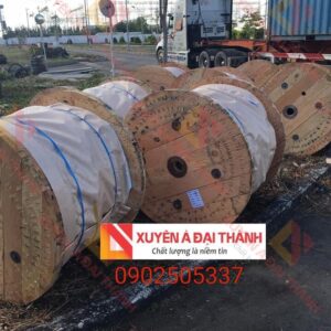 cap-tai-thang-may-8xS(19)