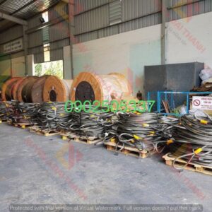 cap-tai-thang-may-8xS(19) (2)