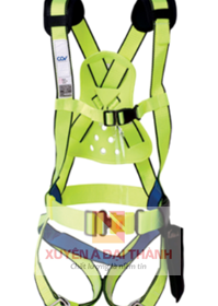 Basic b1