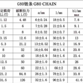 thong-so-ky-thuat-day-xich-cau-hang-g80