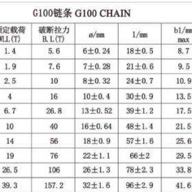 thong-so-ky-thuat-day-xich-cau-hang-g100
