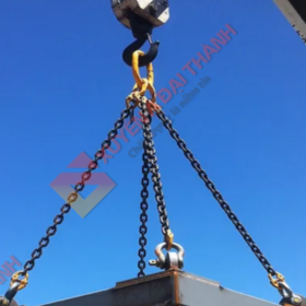 Các Yếu Tố Ảnh Hưởng Đến Hiệu Quả Và An Toàn Của Xích Cẩu Hàng