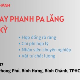thay phanh pa lăng điện