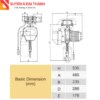 Mô Tả Pa Lăng Xích Điện 250Kg