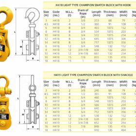 Bảng thông số puly ròng rọc APOLLO light type H418 móc cẩu / H419 móc ma ní