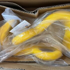 Lô ngáo cẩu tôn APOLLO nhập về kho Xuyên Á Đại Thành