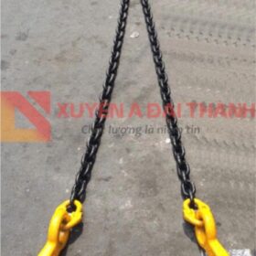 Ngáo cẩu tôn 5 tấn APOLLO lắp bộ cẩu 2 chân trên xích tại Xuyên Á Đại Thành